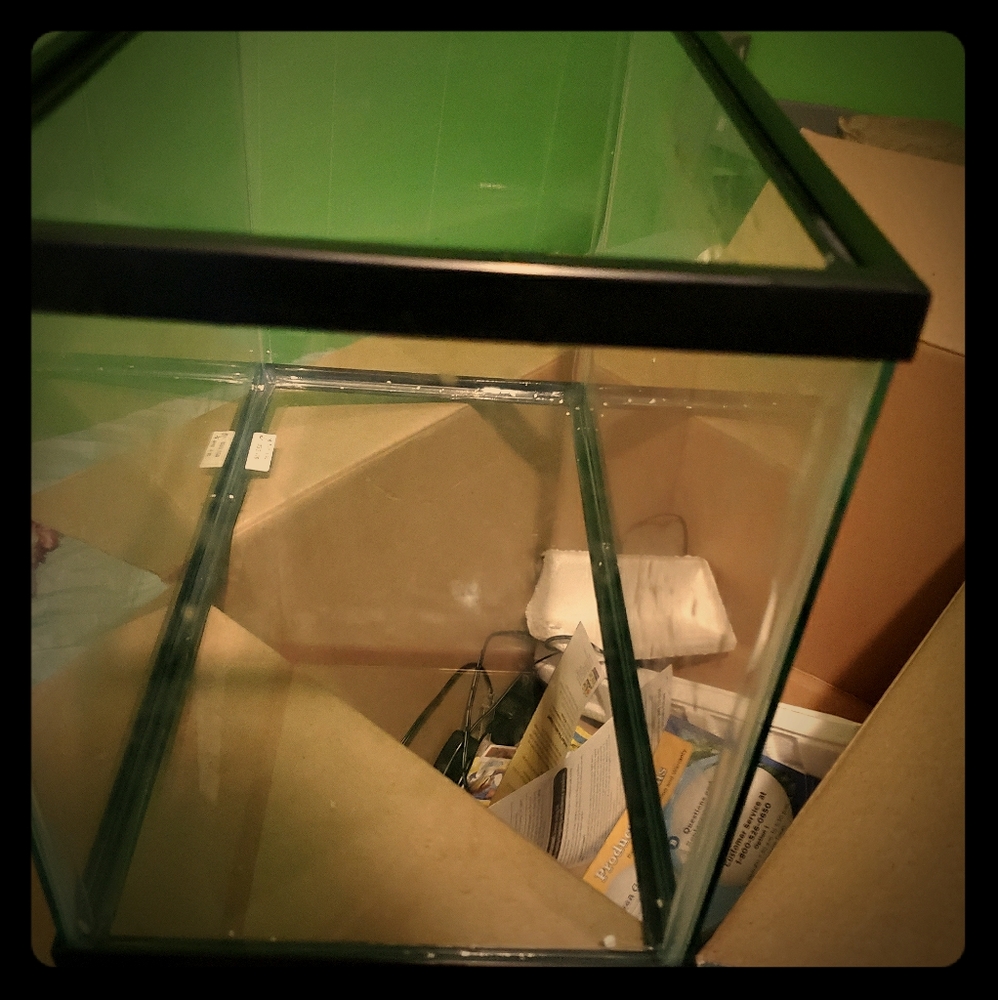 Fish tank
